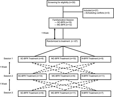 Cardiovascular, perceptual, and performance responses to single- vs. multi-chambered blood flow restriction cuffs